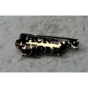2000 Jackson Hole Wyoming Travel Souvenir Pin‎ Lapel Tac P44